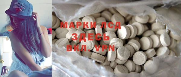 прущие грибы Бронницы