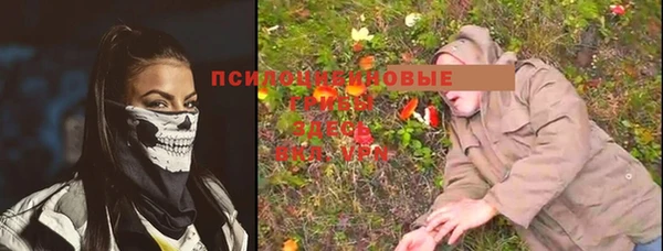 амф Белоозёрский