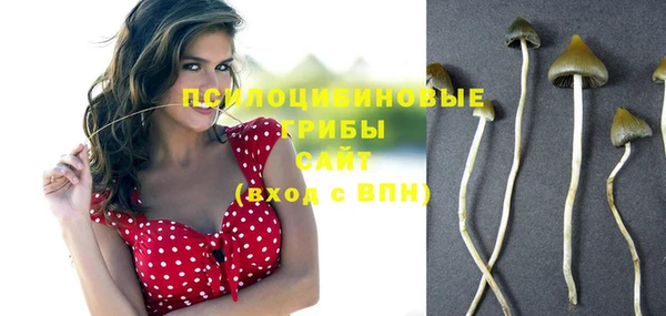 МДПВ Белокуриха