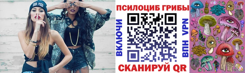 Псилоцибиновые грибы мухоморы  цены   OMG онион  Семикаракорск 